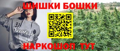 Альфа ПВП Дубна