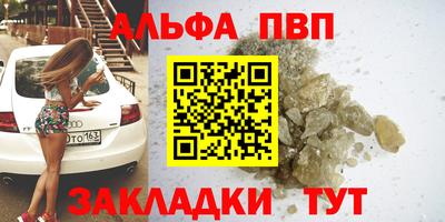 спиды Донской
