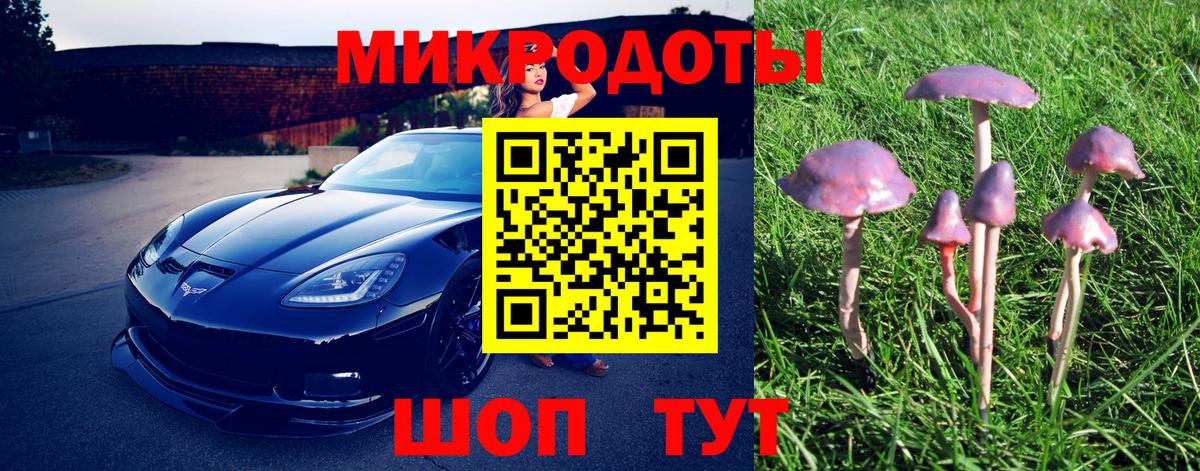 Псилоцибиновые грибы мицелий Гусь-Хрустальный